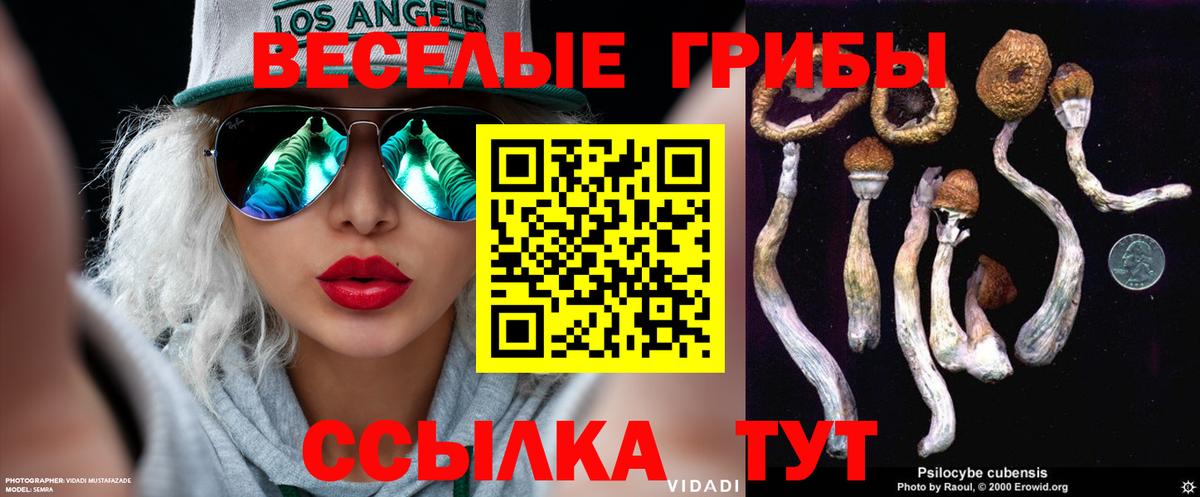 Галлюциногенные грибы Psilocybe  Вход с VPN  Красногорск 